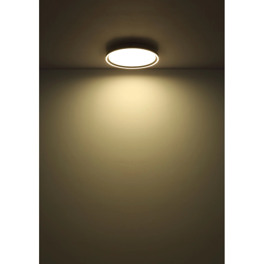 Sleek ceiling light Dublin Ø 40cm grey Globo 9007371447084
