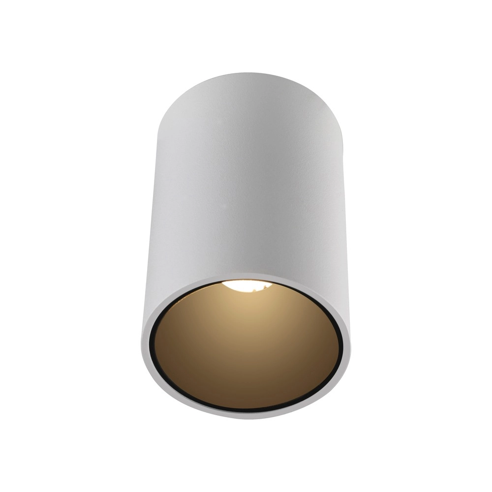 Ceiling surface-mounted spot Pure Point Ø 6cm - white Paul Neuhaus 4012248395660
