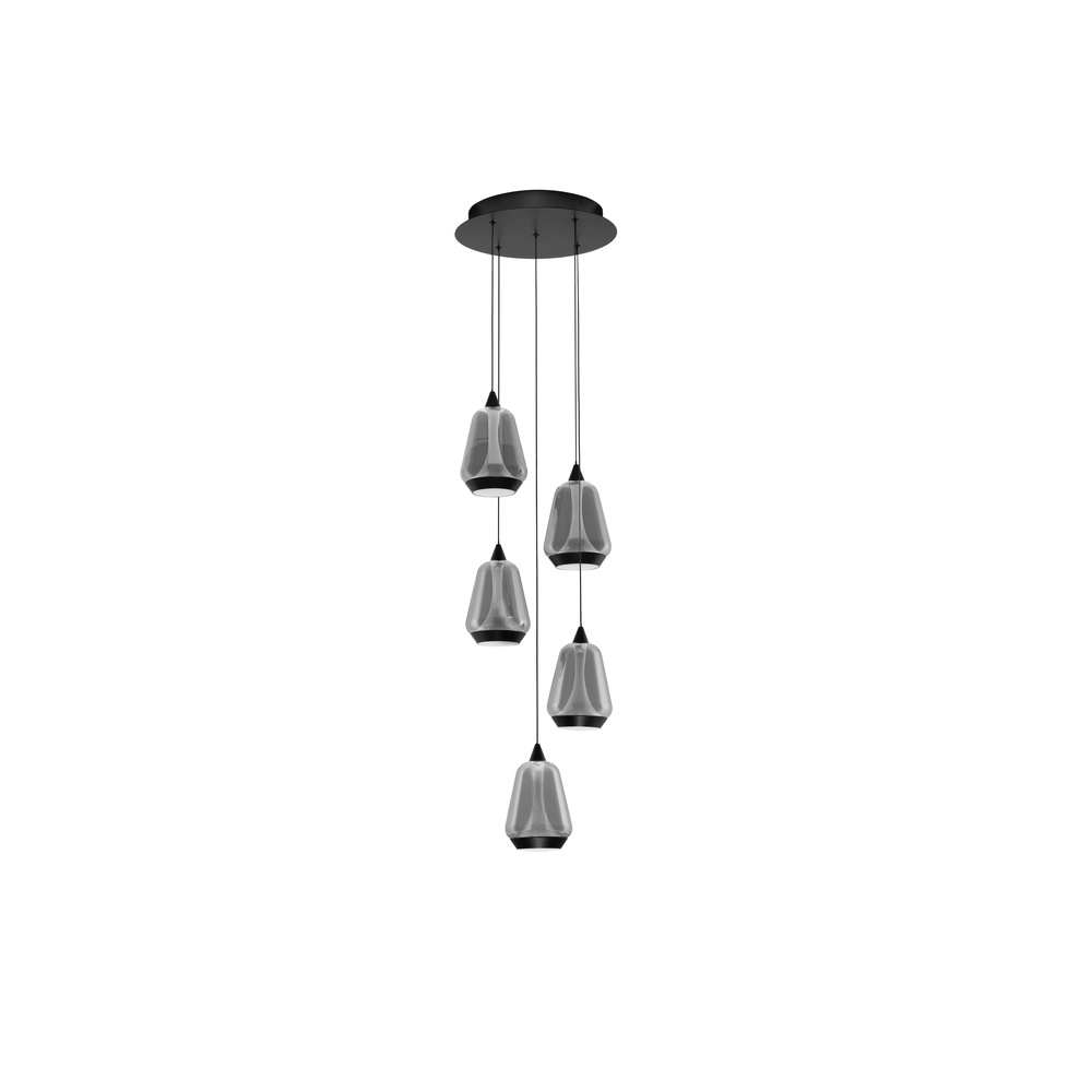Design pendant lamp Alish 5-light smoke glass Lyora 5212017477729