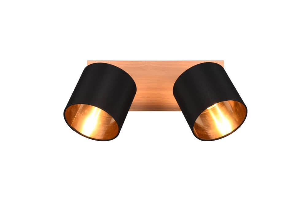 Rural ceiling spotlight Tommy 2-light Trio 4017807542561