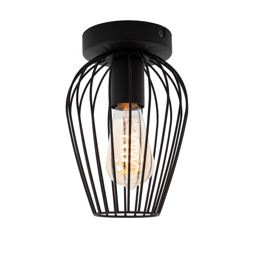 Wire ceiling lamp Newtown Ø 16cm - black