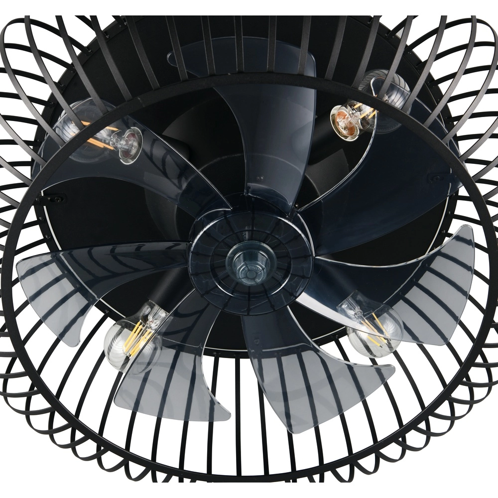 Black fan Johanna Ø 61cm Trio 4017807688115