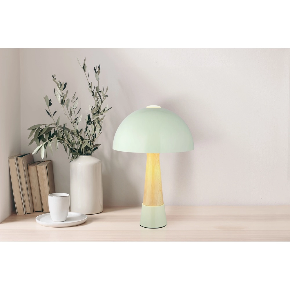 Unique table lamp Paulin Ø 25cm green Globo 9007371513802