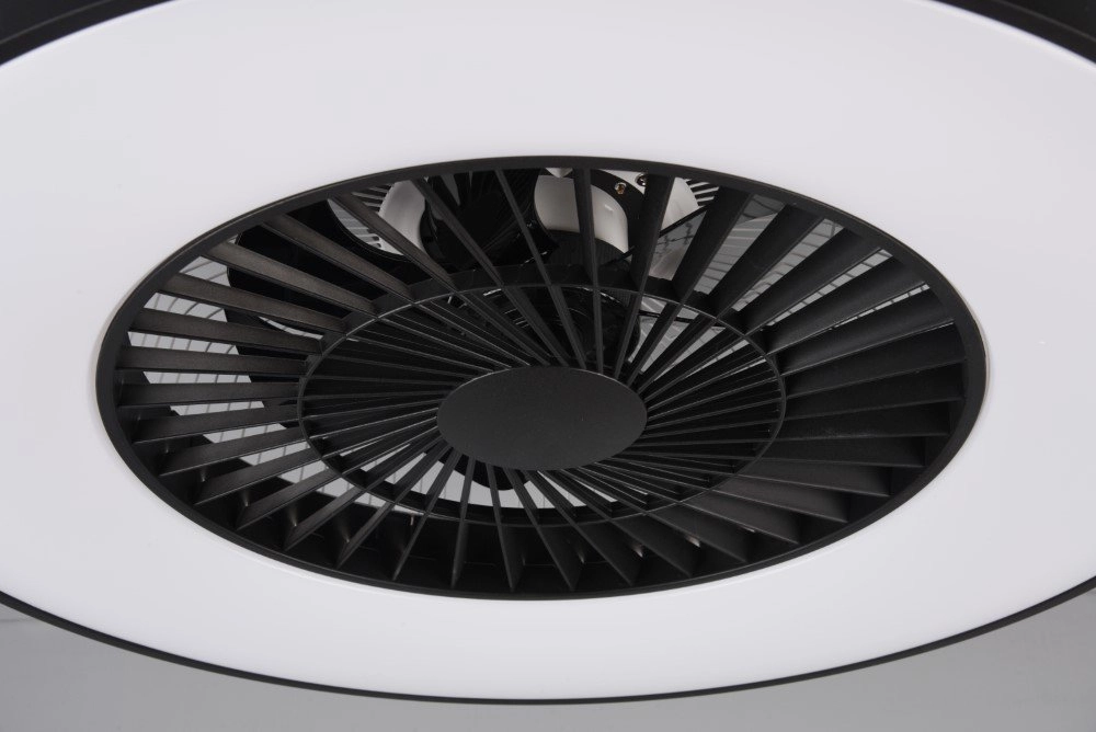 Black ceiling fan Halmstadt Trio 4017807491036