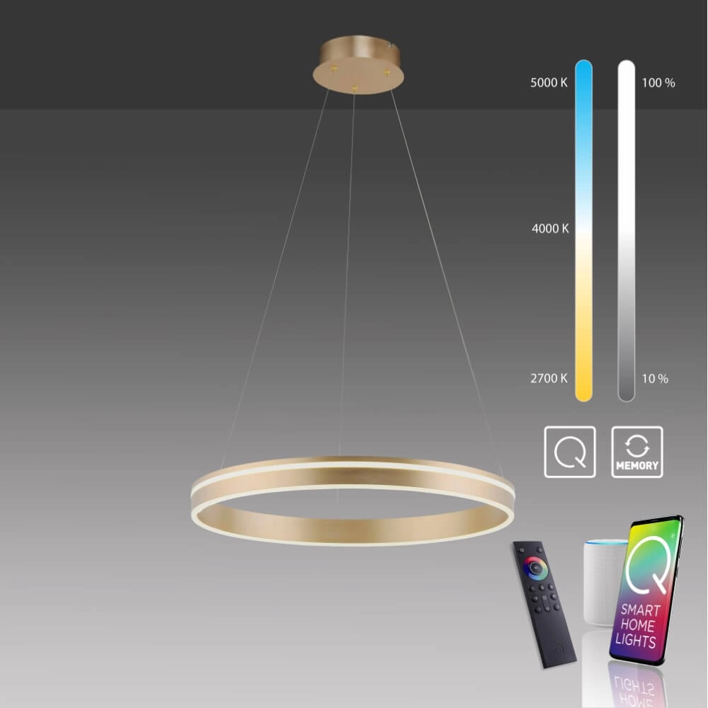 Design pendant lamp Q-Vito Ø 59cm brass Paul Neuhaus 4012248357767