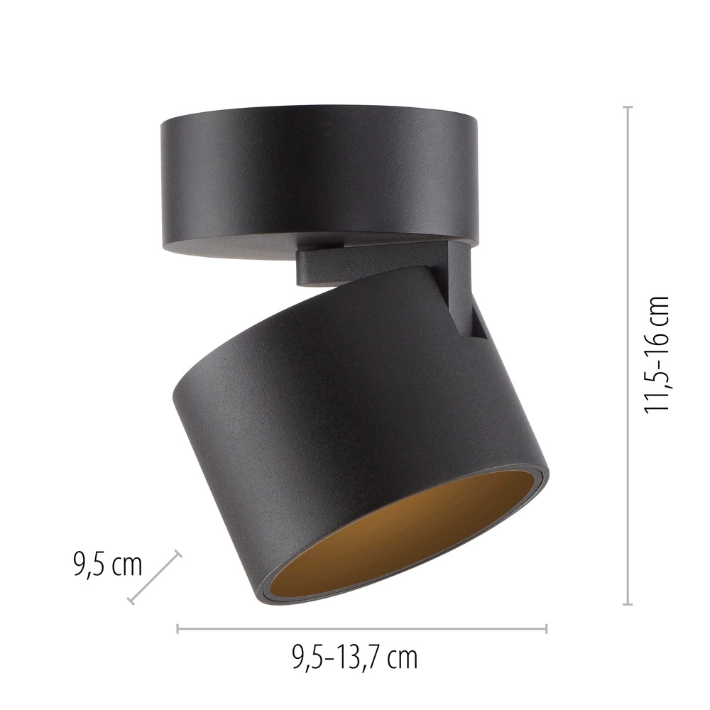 Sleek surface-mounted spot Pure Cup black pearl Paul Neuhaus 4012248395585