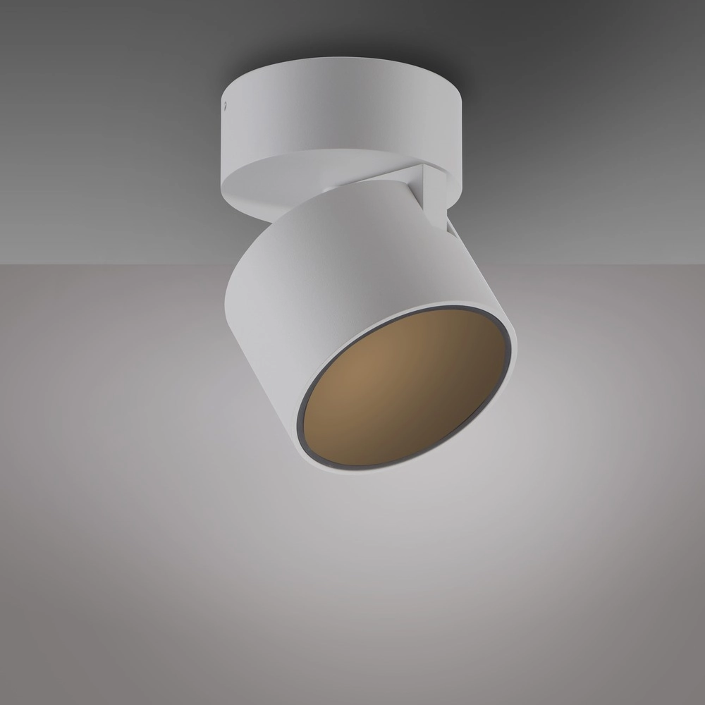 Sleek surface-mounted spot Pure Cup snow white Paul Neuhaus 4012248395578
