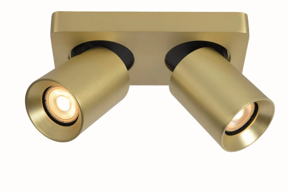 Directional surface-mounted spotlight Megano double gold