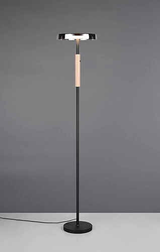 Led floor lamp Celeste smoke glass Trio 4017807616910