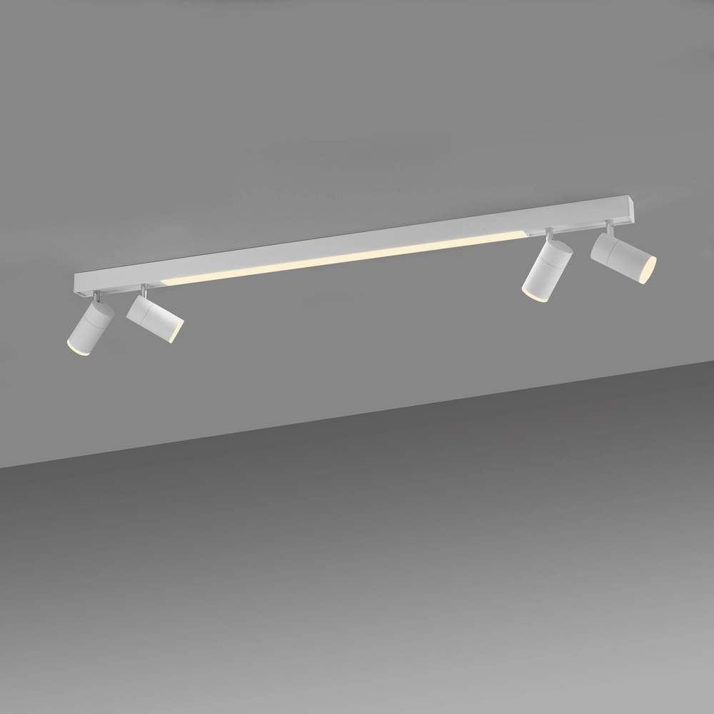 Ceiling surface-mounted spot Pure Lines Spot 110cm - white Paul Neuhaus 4012248395837