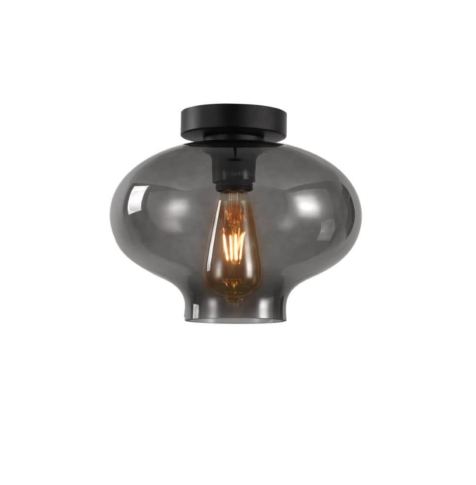 Ceiling light Toronto with smoke glass