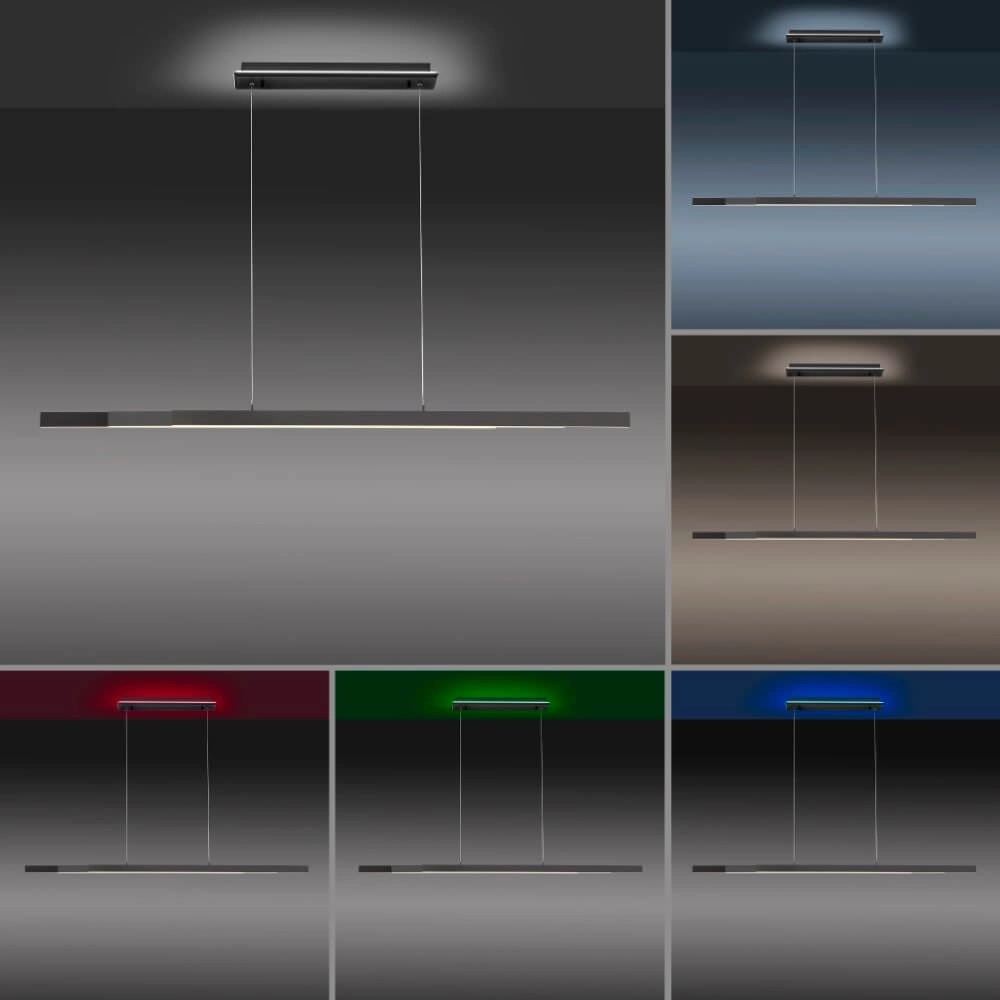Modern pendant lamp Q-Arian anthracite Paul Neuhaus 4012248359846
