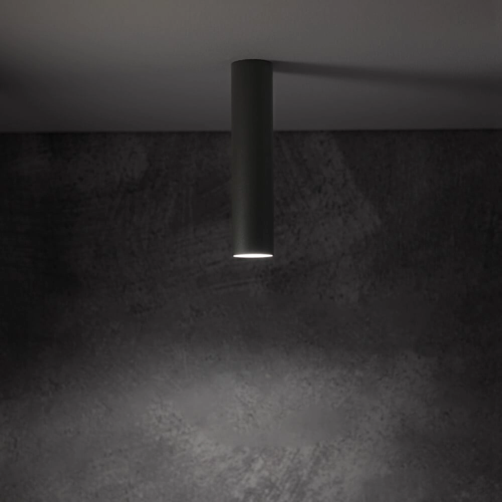 Anthracite narrow ceiling spotlight Fourty S Lyora 5903139108843