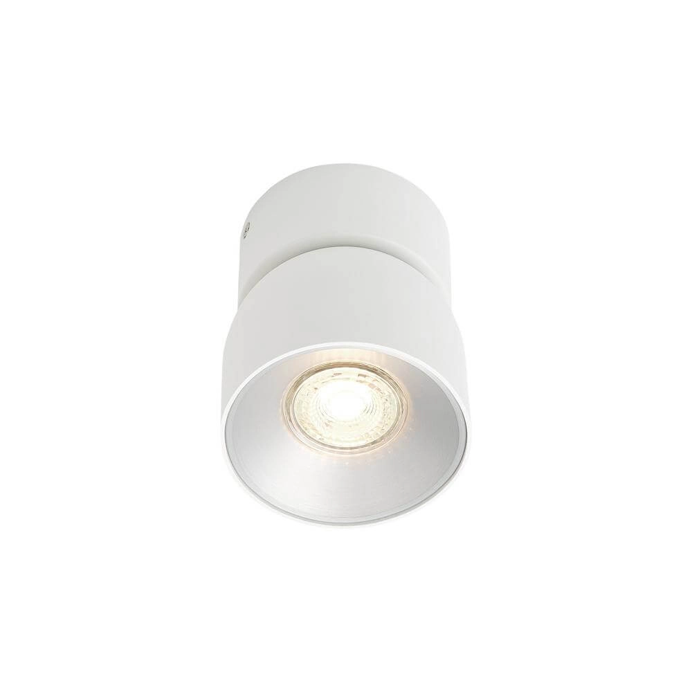 White spotlight Pitcher Orientable