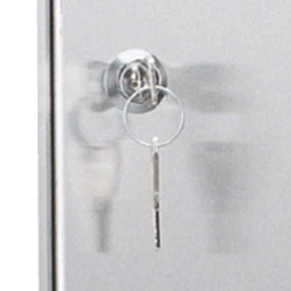 Mailbox door in Frame RVS KS Verlichting 8714732172509