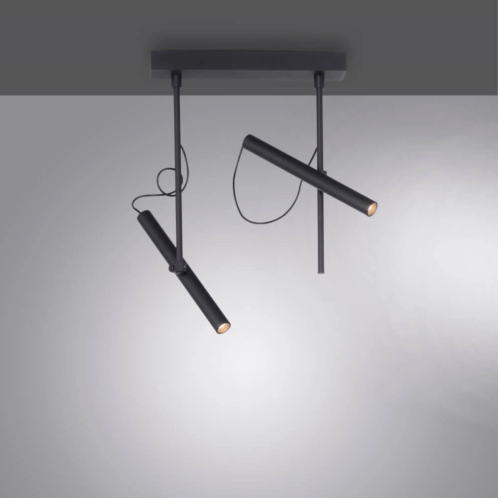 Designer ceiling lamp Pure Tutua black Paul Neuhaus 4012248365533