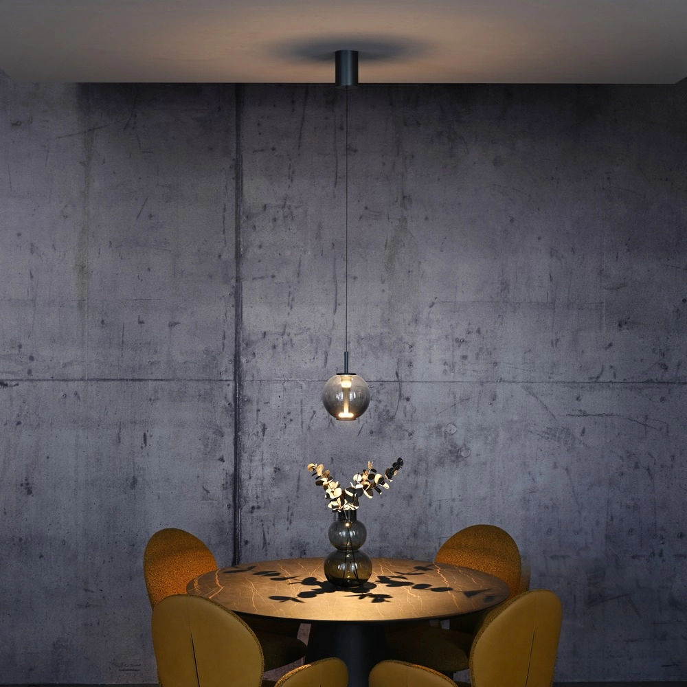 Led pendant light Pure Infinity with smoke glass - Ø 18cm Paul Neuhaus 4012248399033