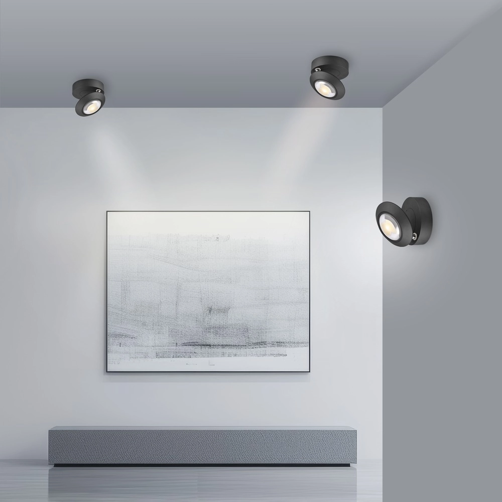 Led ceiling spot Pure Oculis black pearl Paul Neuhaus 4012248397053