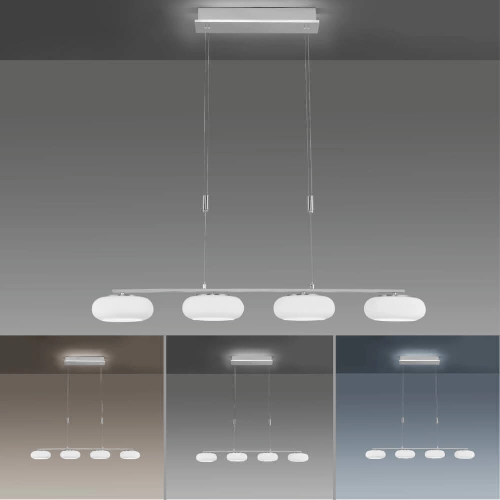 4-light pendant lamp Q-Etienne metal straight Paul Neuhaus 4012248350461