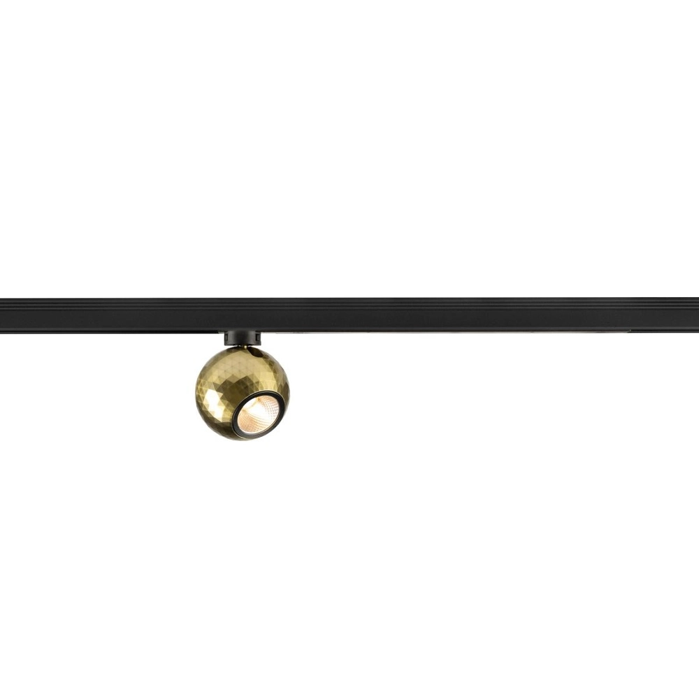 Rail spot Dysko 1-phase black with gold