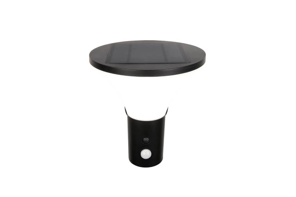 Solar outdoor lamp Gorda with motion sensor Trio 4017807622416