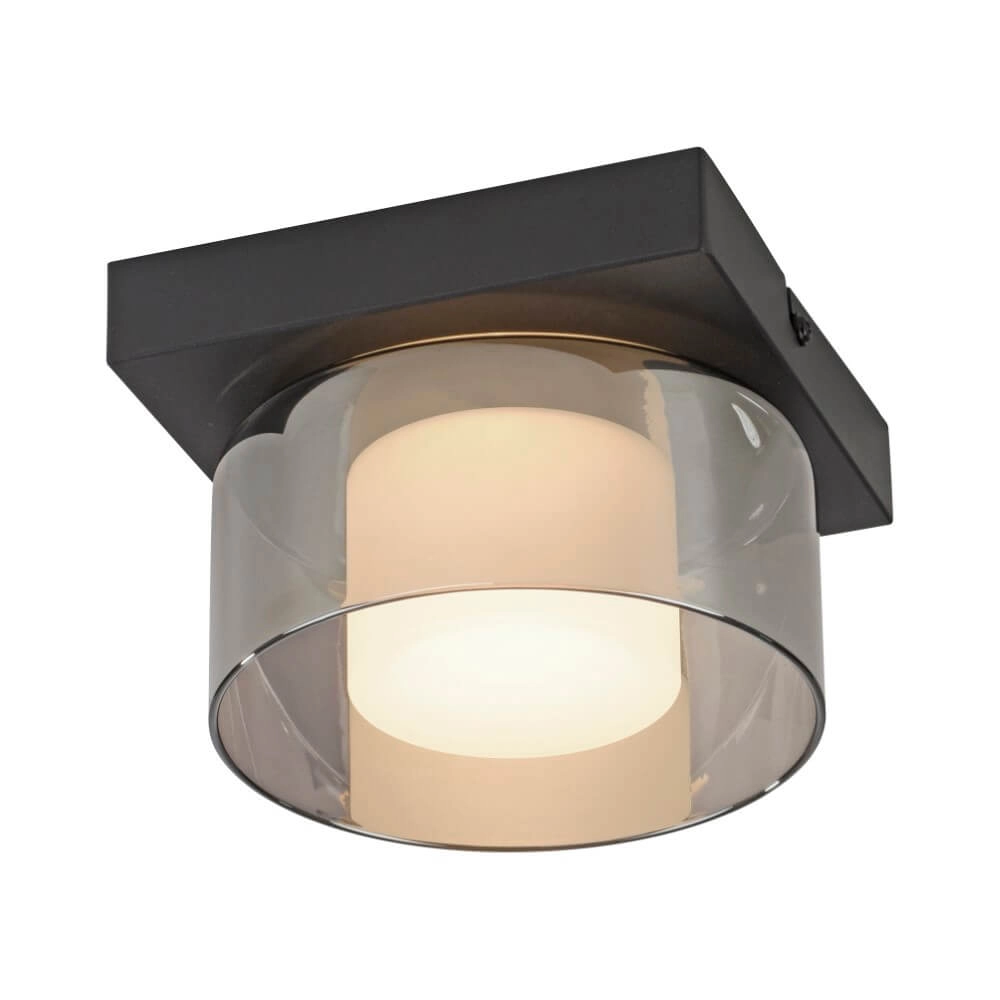 Black ceiling lamp Rika 1-light black Paul Neuhaus 4012248385012