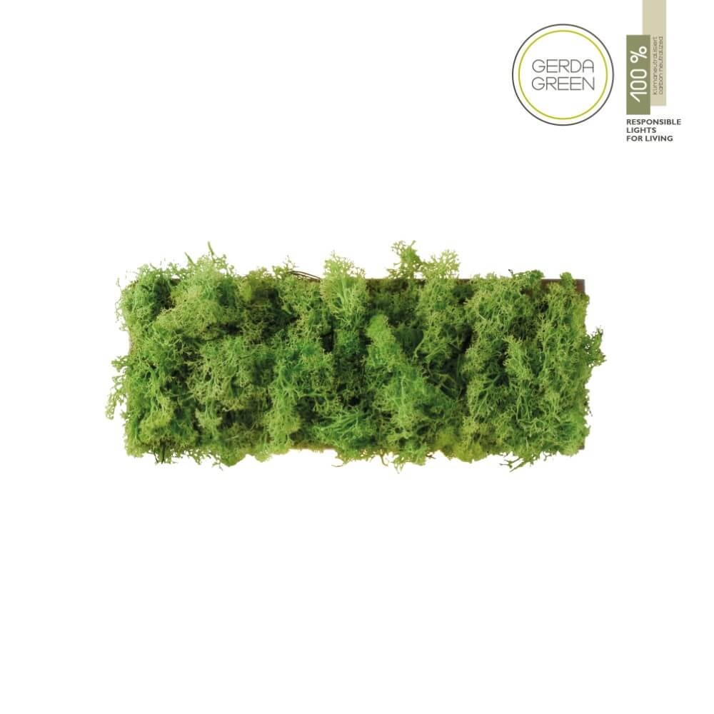 Rectangular ceiling lamp Green Carlo with moss Just Light 4043689994853