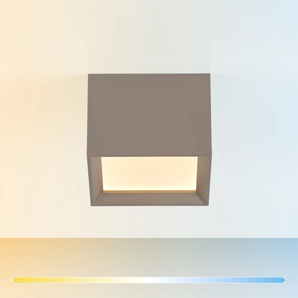 Led surface-mounted spot Pure Manhattan Bronce Paul Neuhaus 4012248396858
