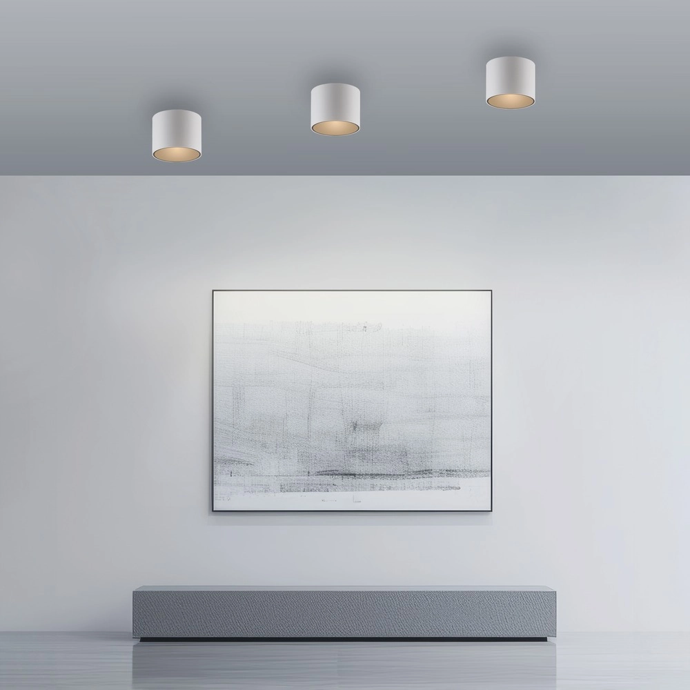 Ceiling surface-mounted spot Pure Point Ø 11cm - white Paul Neuhaus 4012248395639