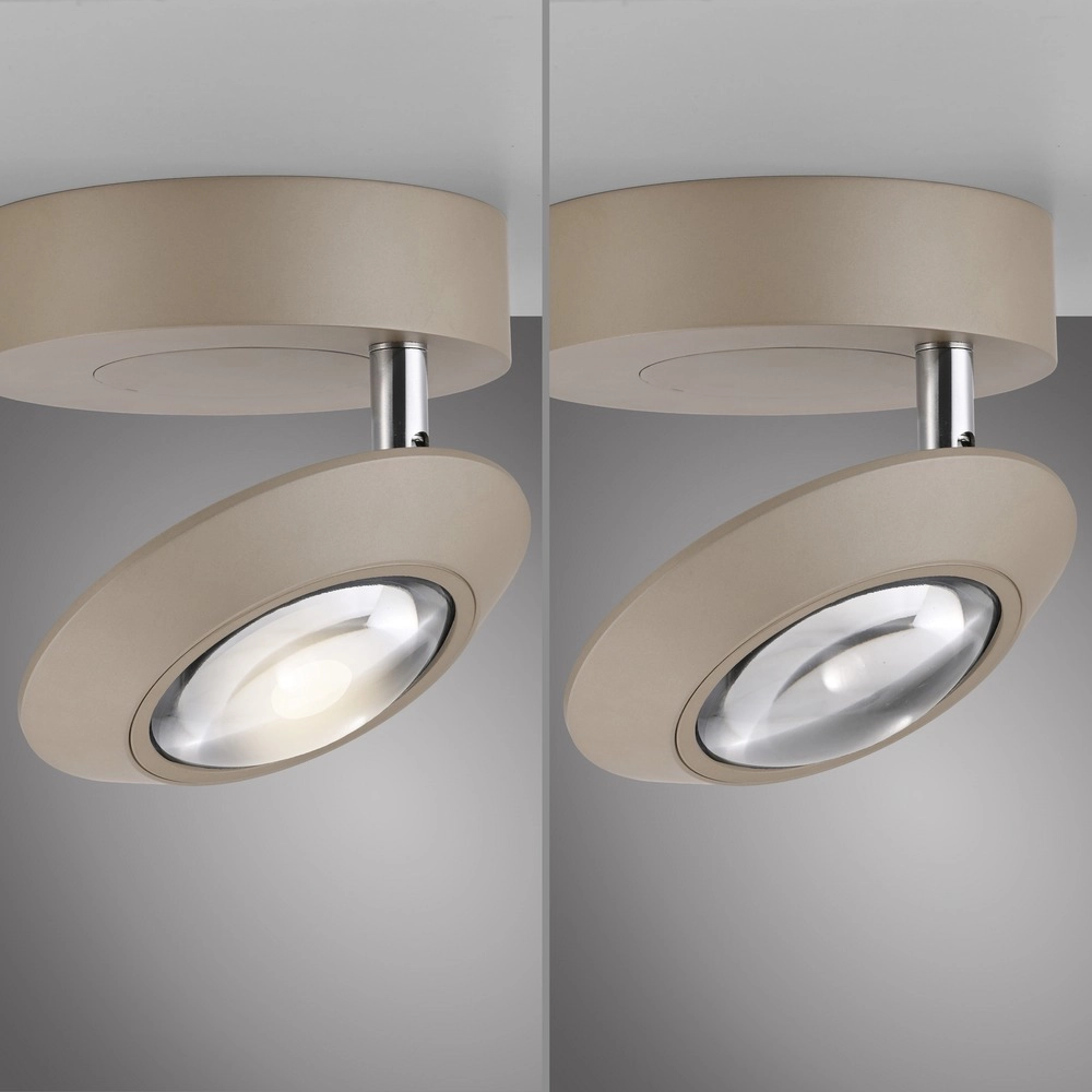 Led ceiling spot Pure Oculis Bronce Paul Neuhaus 4012248397077