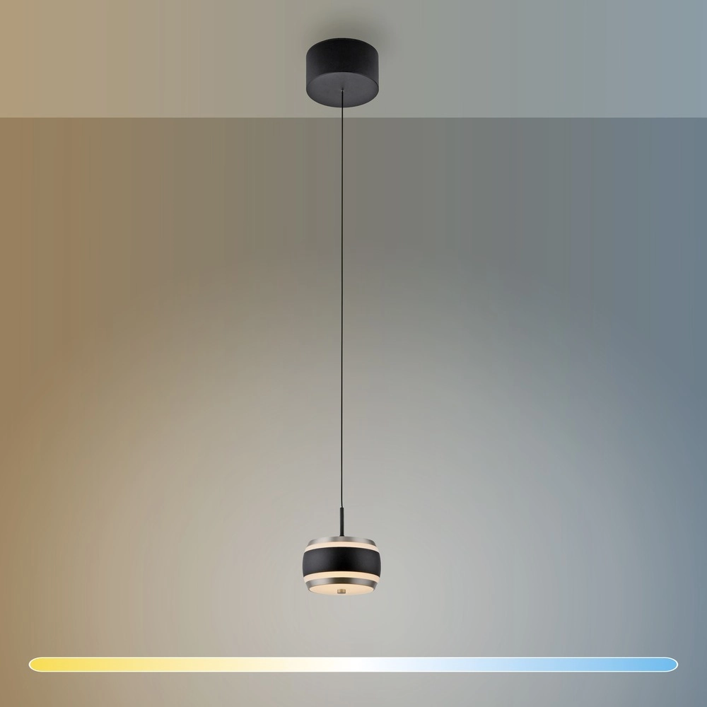 Sleek LED pendant Pure Falling Rings black pearl Paul Neuhaus 4012248396551