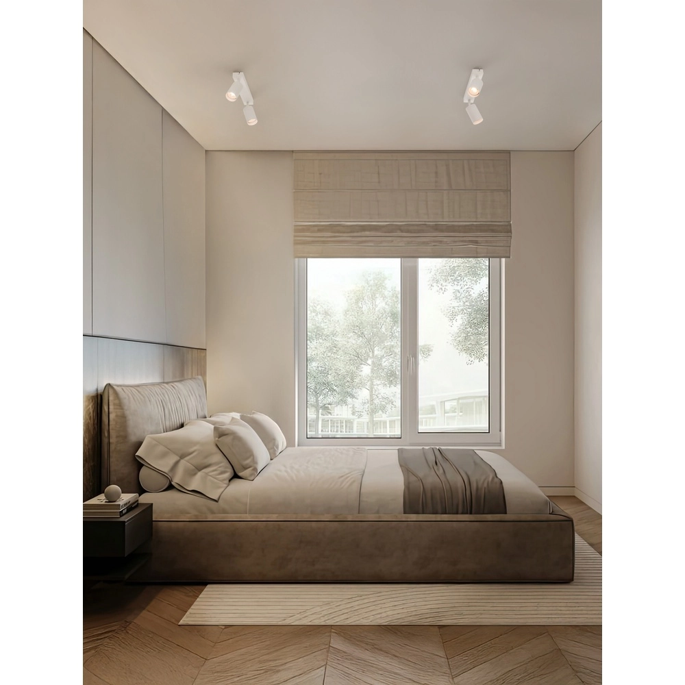 Ceiling spotlight Reig 2-lightest white Lyora 5212017477941