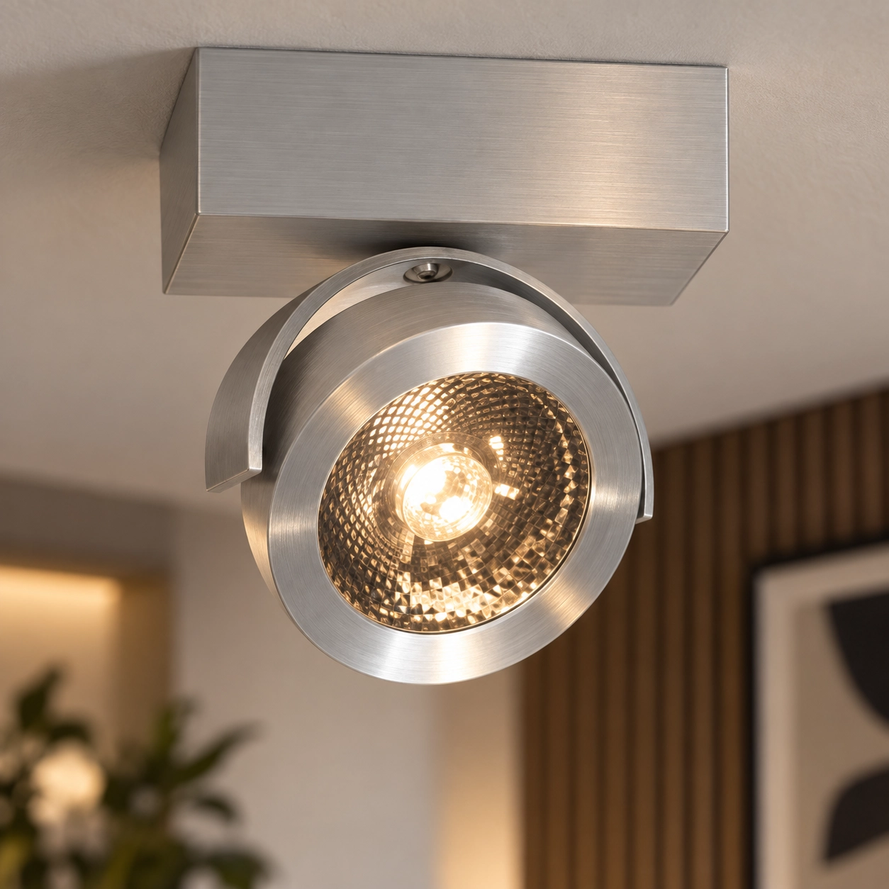 Surface-mounted spot Dutchess brushed metal