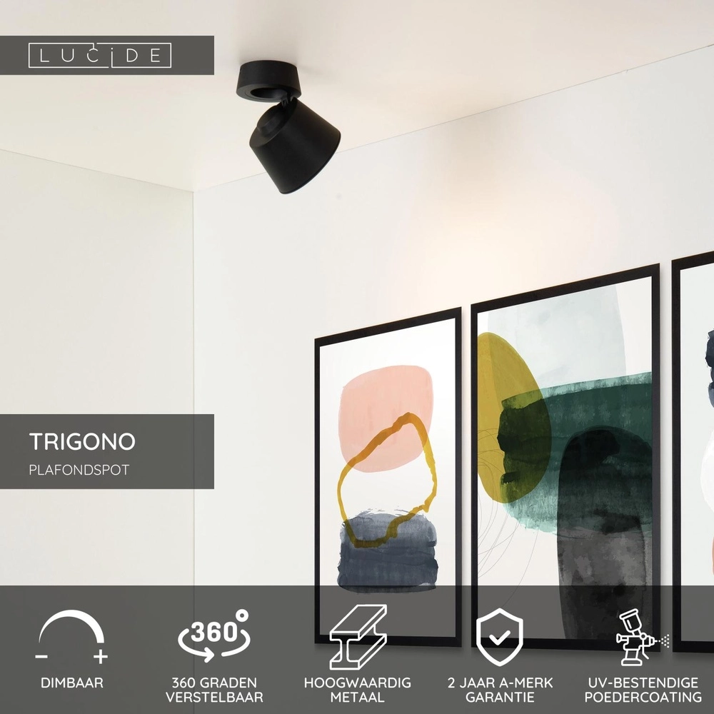 Ceiling spotlight Trigono Single Black Lucide 5411212093110