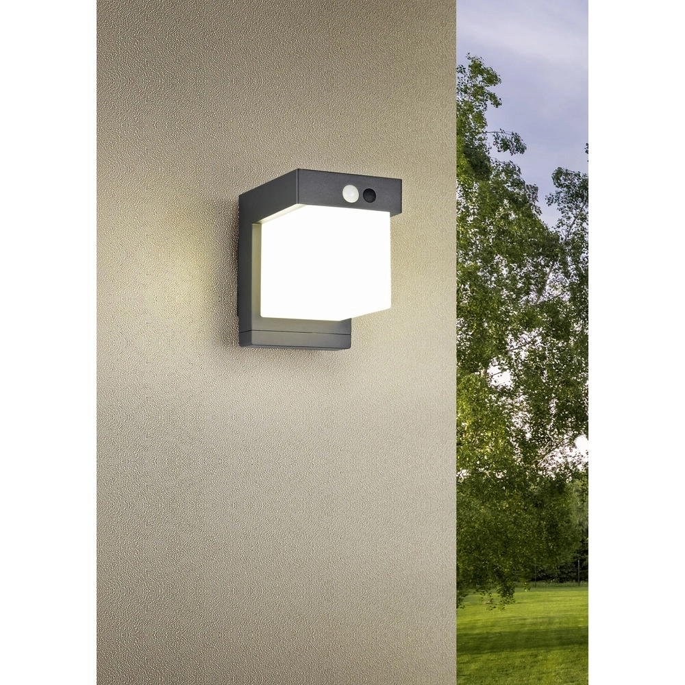 Design wall lamp Colombo Black with sensor Trio 4017807647983