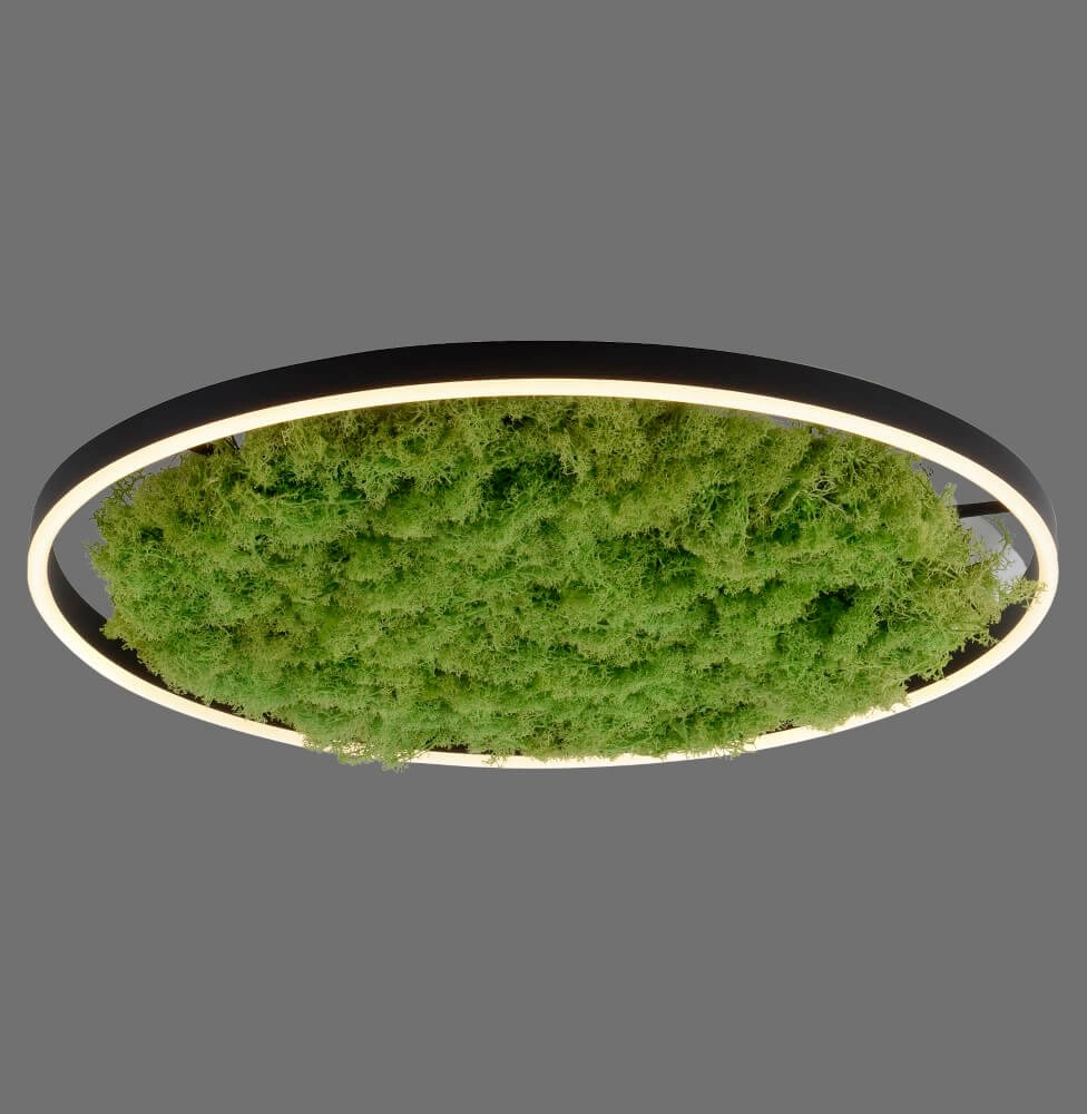 Ceiling lamp Green Ritus with moss Ø 58,5cm Just Light 4043689994808