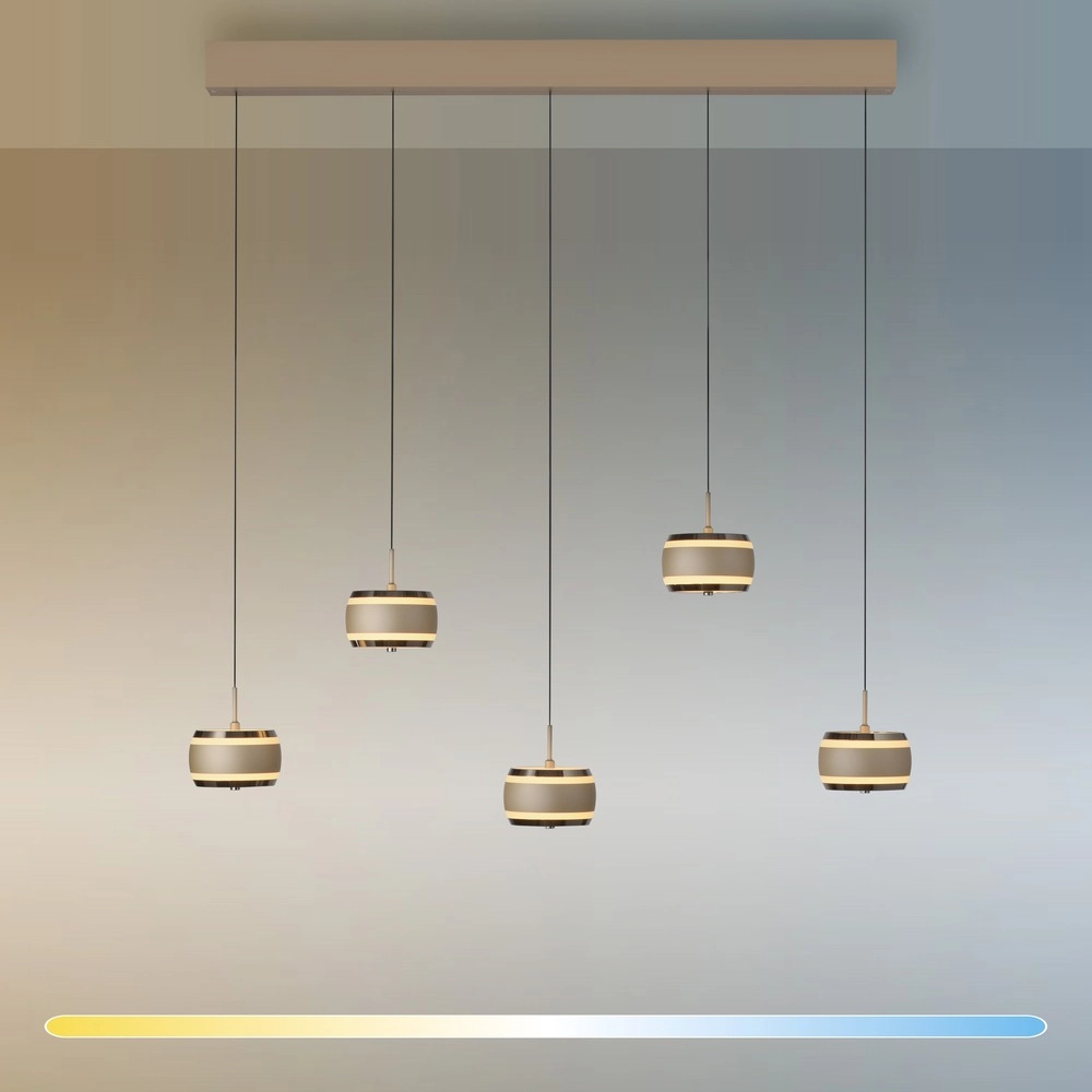 5L dining table pendant lamp Pure Falling Rings Bronce Paul Neuhaus 4012248396582