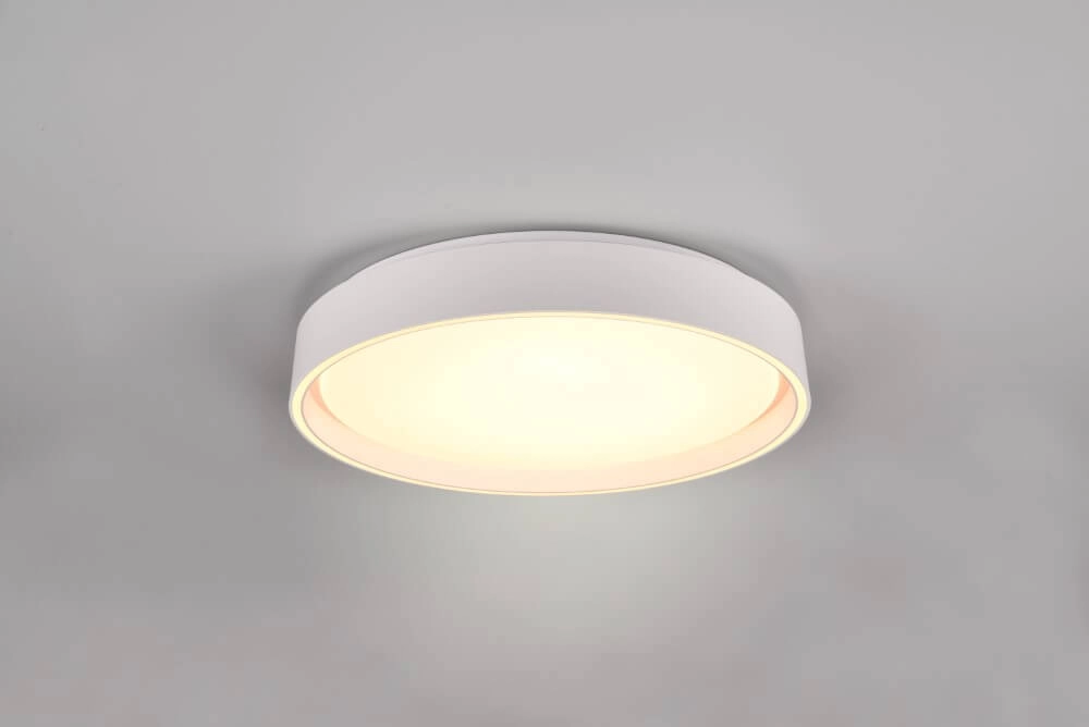 Ceiling light Felis with remote control Trio 4017807588064