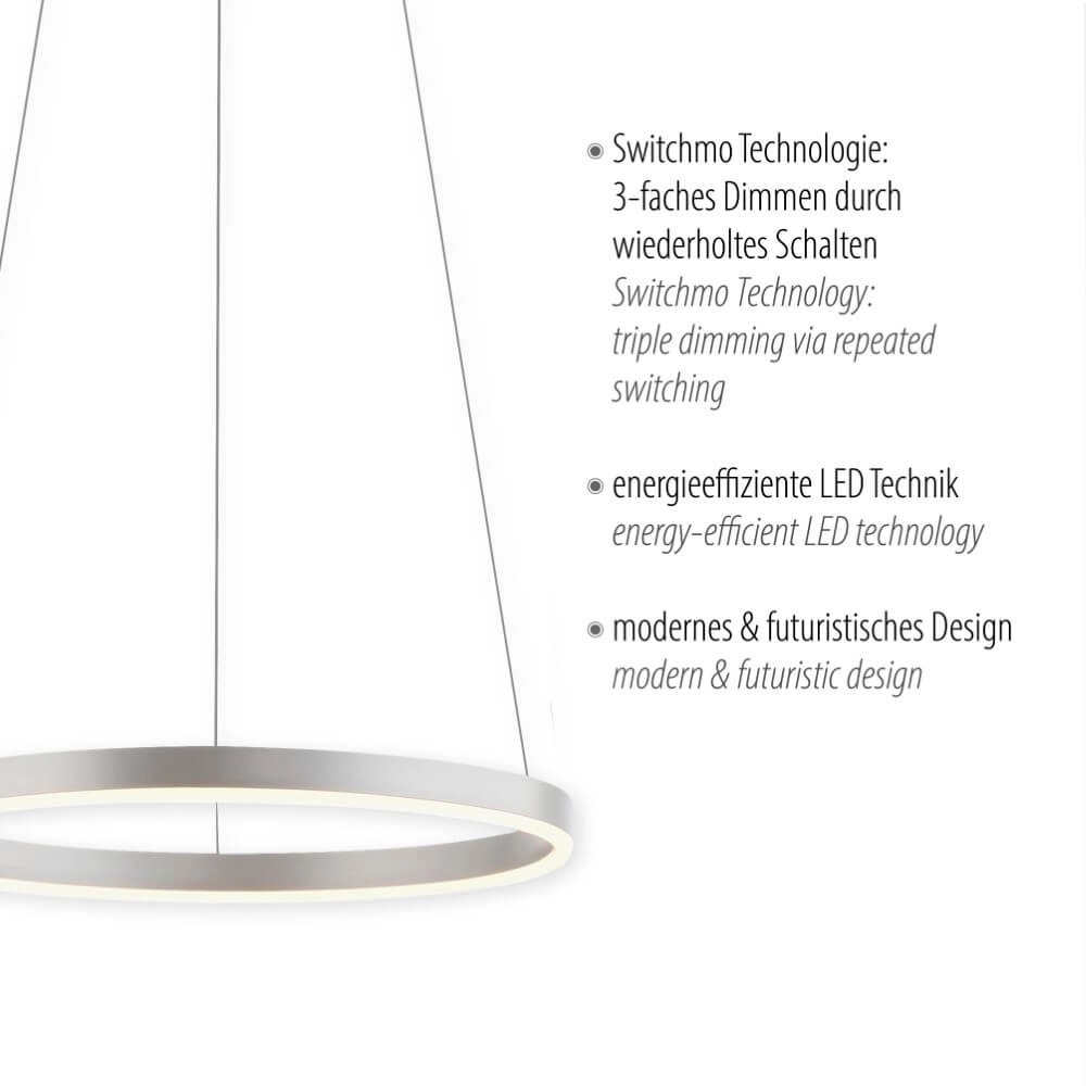 Pendant lamp Ritus aluminium Just Light 4043689983499