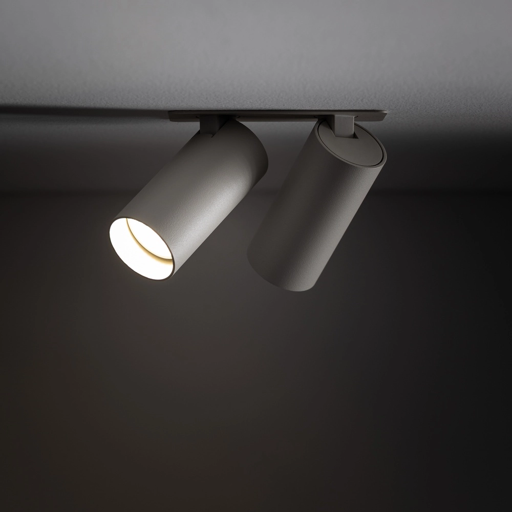 Double recessed spotlight Fourty Orientable - light grey Lyora 5903139114448