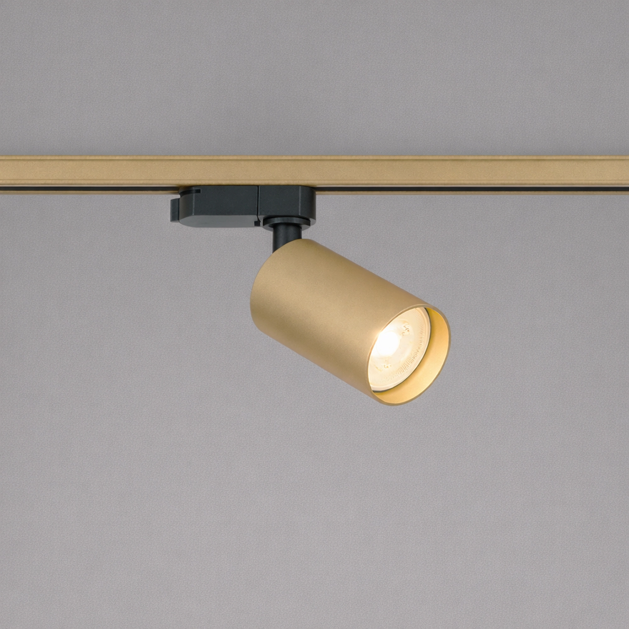 Rail spot TraQ Orion Gold