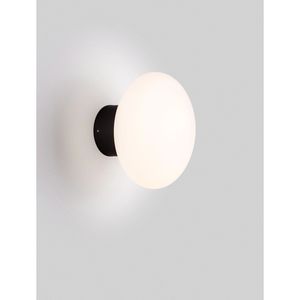 Ceiling lamp Ali anthracite with oval white glass Lyora 5212017476456