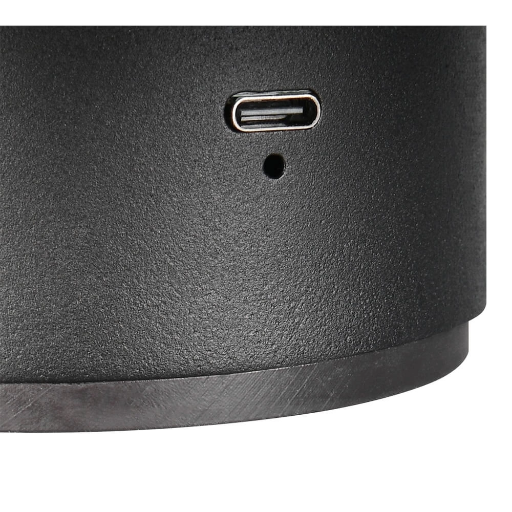 Black wall lamp Davey Ø 15cm Trio 4017807643794