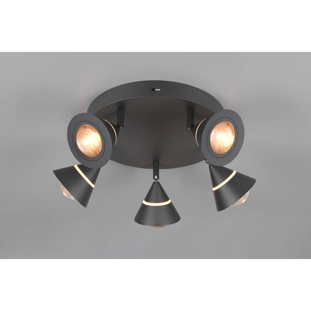 Ceiling lamp Romeo black Trio 4017807670417