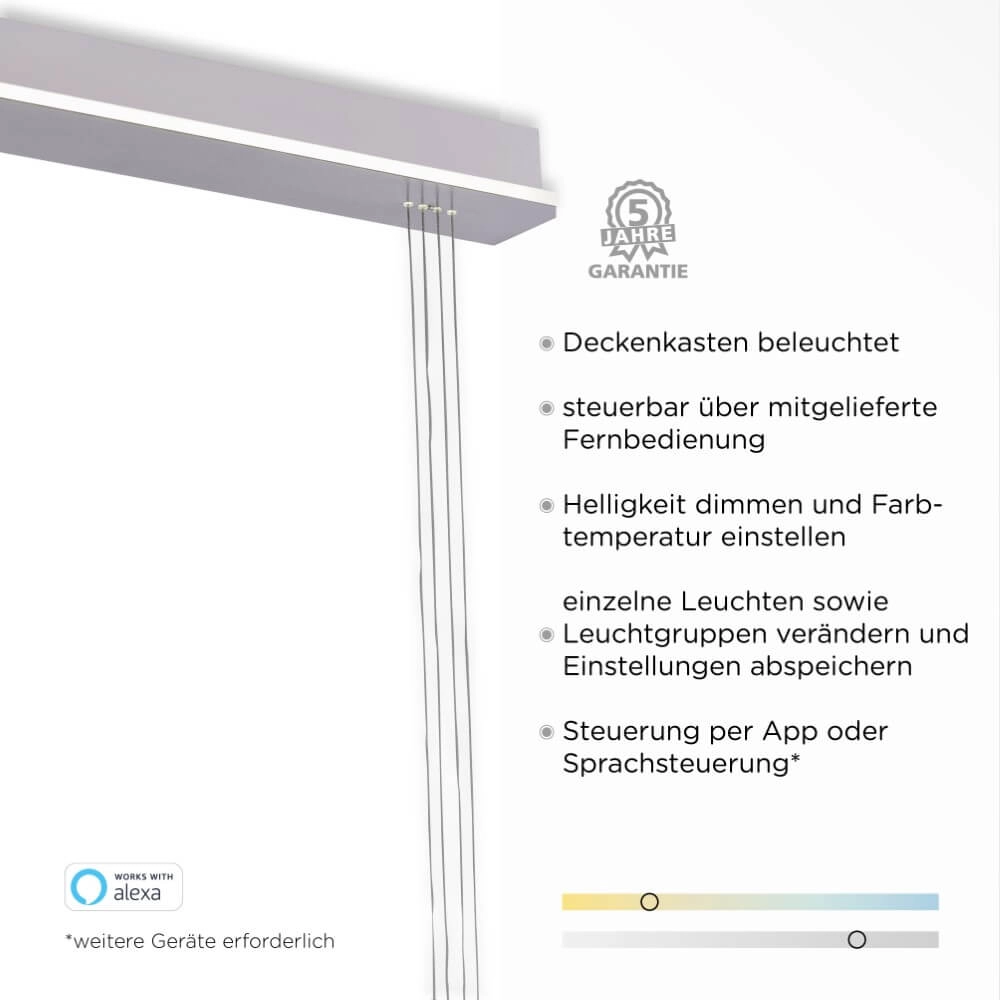 2-light pendant lamp Q-Etienne metal Paul Neuhaus 4012248350409