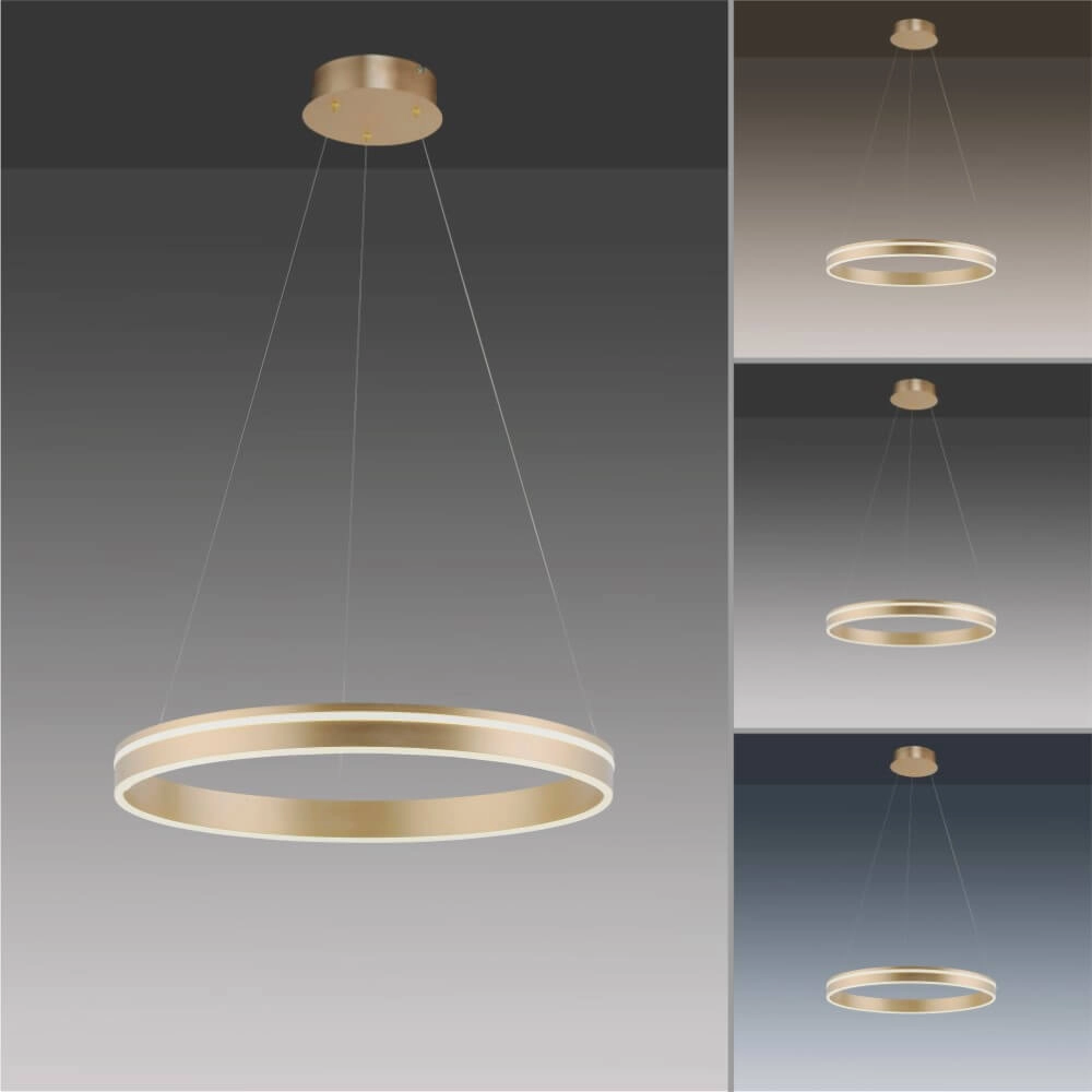 Design pendant lamp Q-Vito Ø 59cm brass Paul Neuhaus 4012248357767