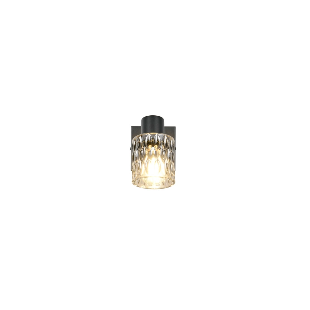Wall light Jack Black with switch Trio 4017807643855