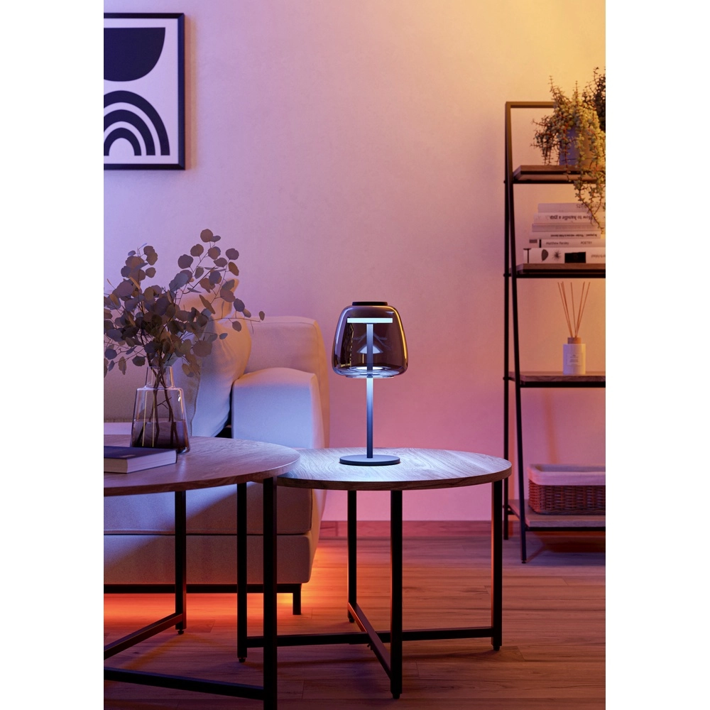 Table lamp Alfero-Z Smoke Glass - App Control Eglo 9008606312863