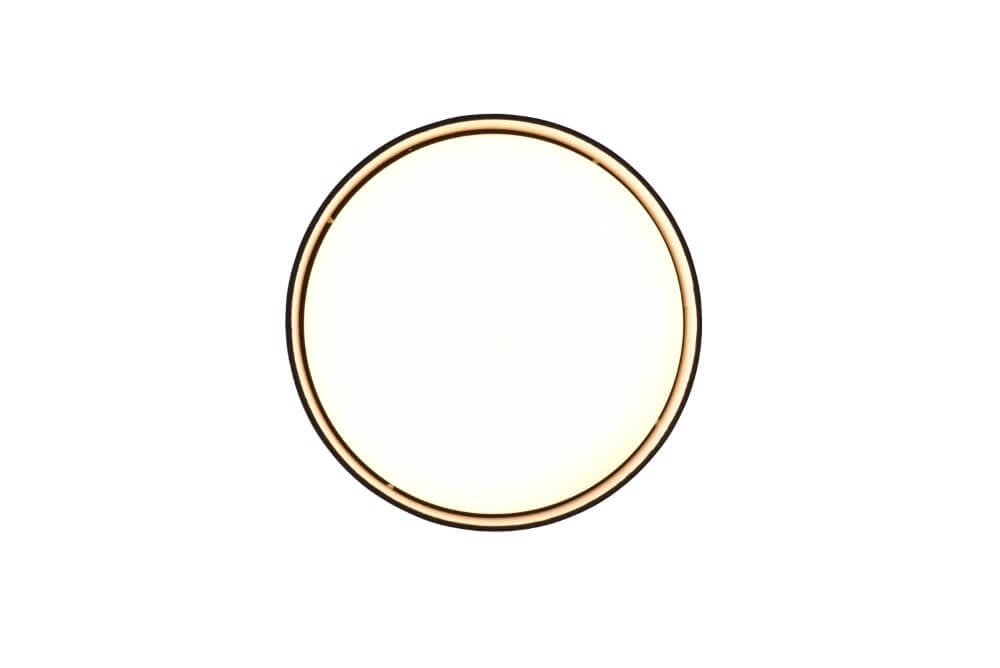 Ceiling light Locarno black Trio 4017807574371