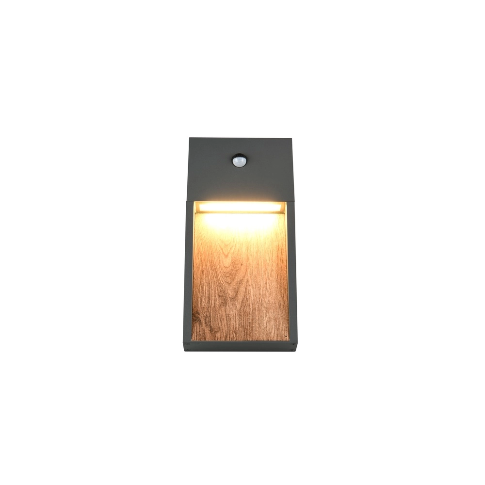 Design wall lamp Salmon Grey with wood and sensor Trio 4017807603712